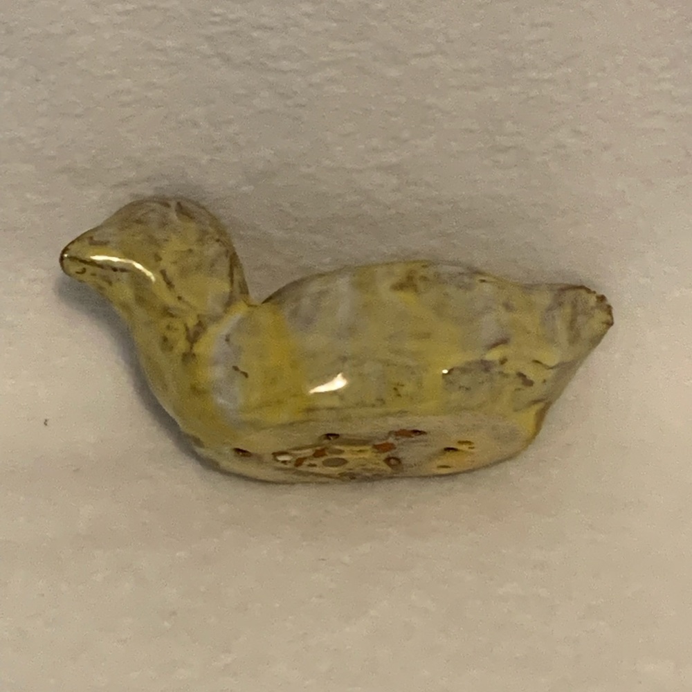 Hobbyist Clay Duck